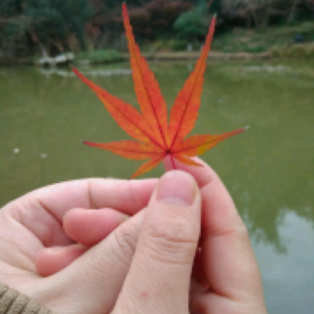 吉利妹子