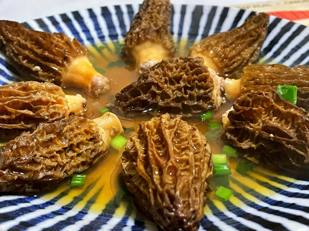 羊肚菌酿肉