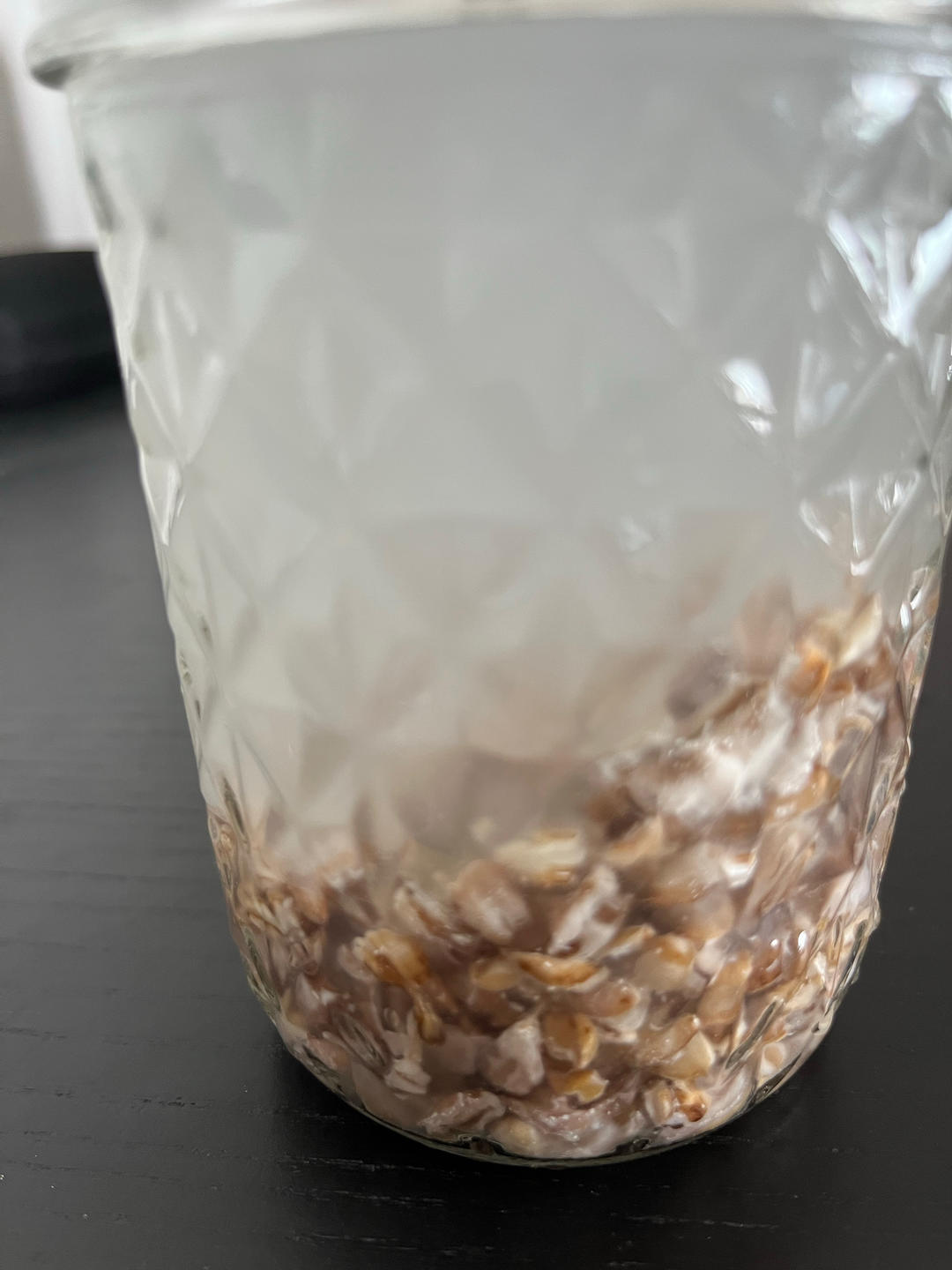 甜胚子｜燕麦酒酿/米酒（附经验）