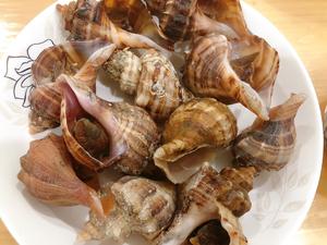 水煮海螺🐚的做法 步骤4