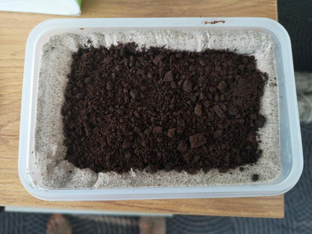 好吃到流泪的奥利奥咸奶油盒子蛋糕