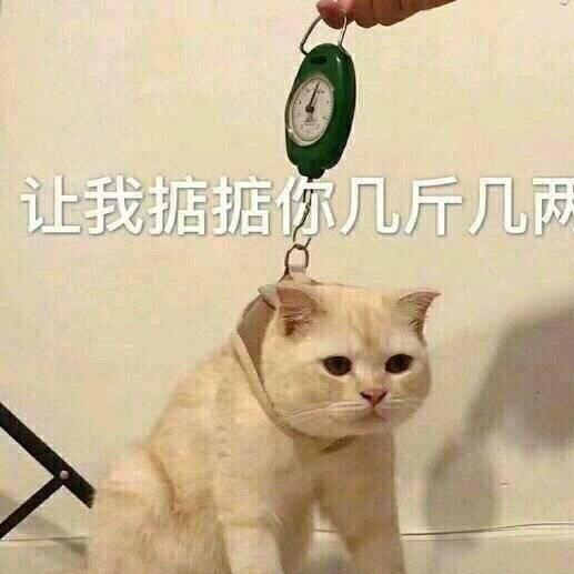 怪力电气