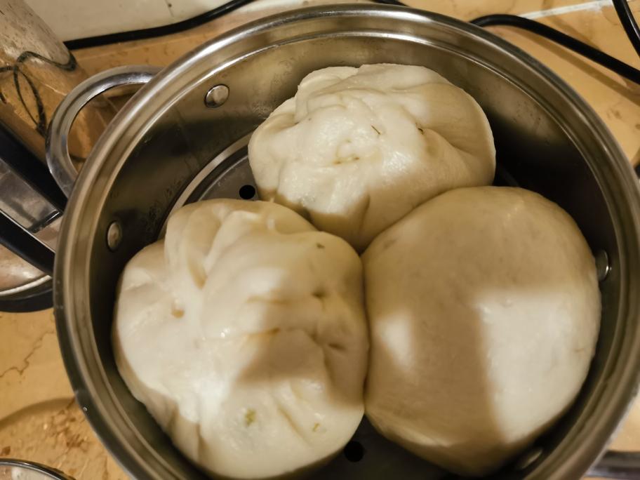 宿舍小电锅—茴香苗包子