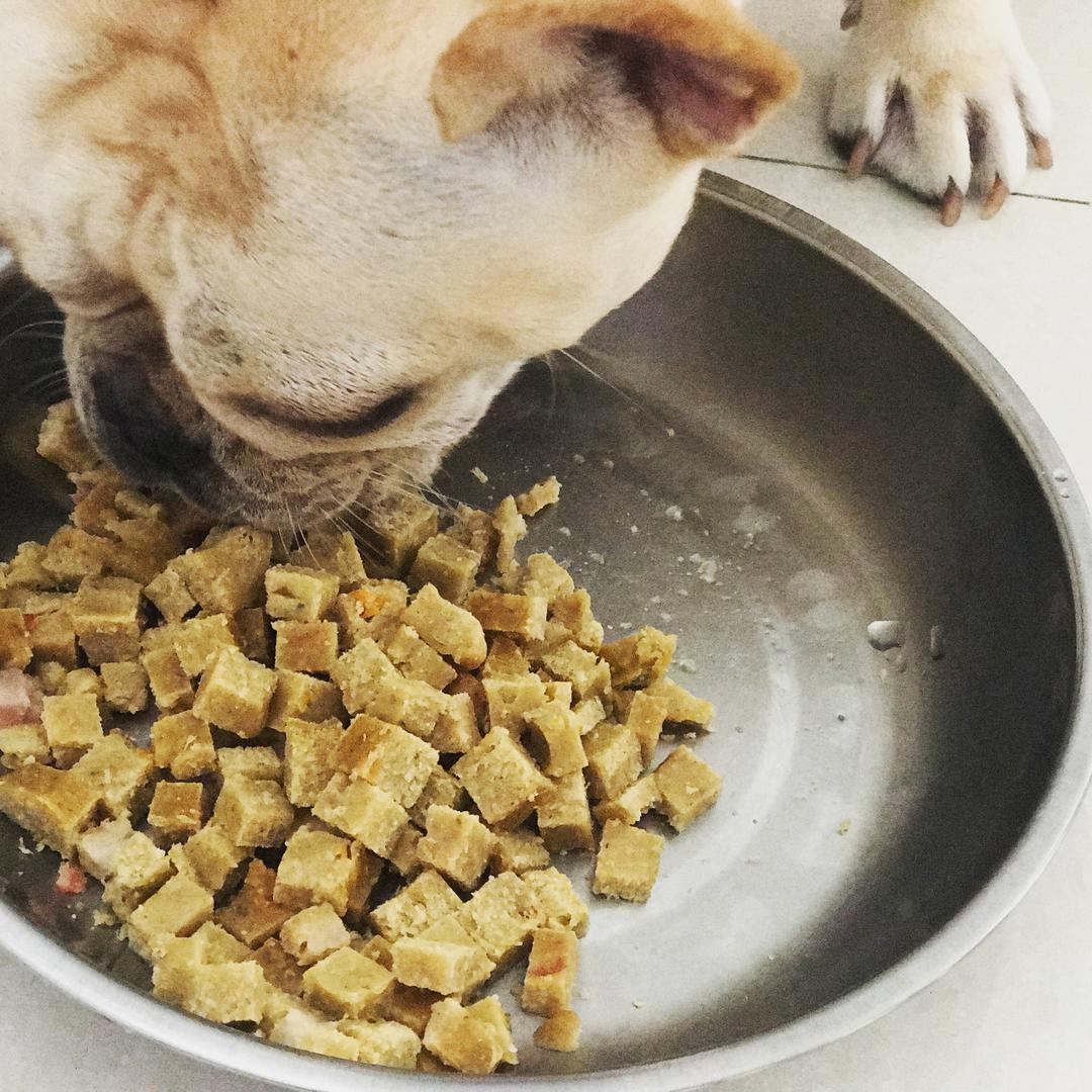 自制营养狗粮的做法