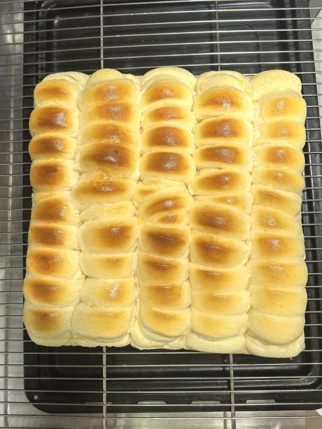 老面包（波兰种）