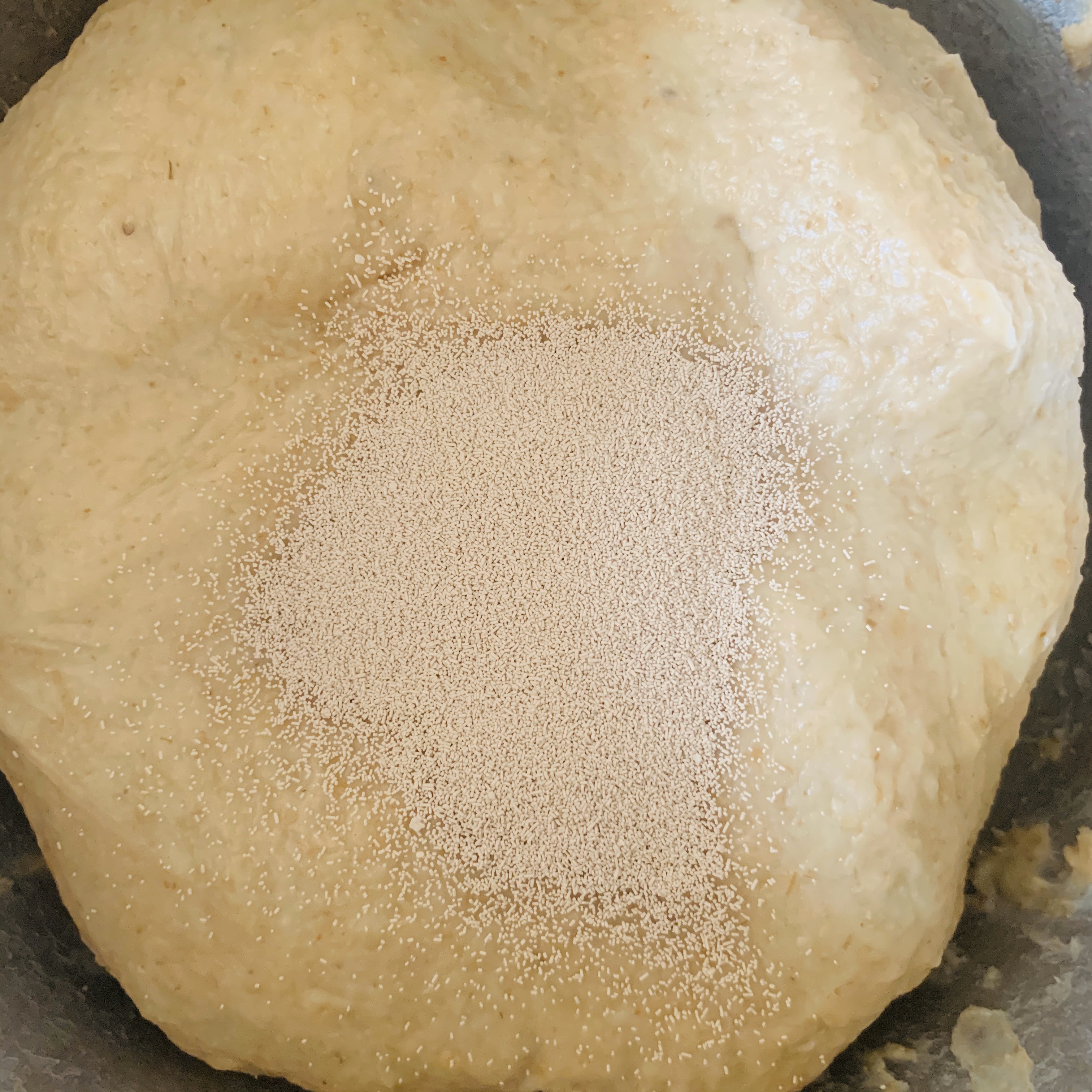 全麦燕麦吐司面包（一次发酵不过夜）的做法 步骤4