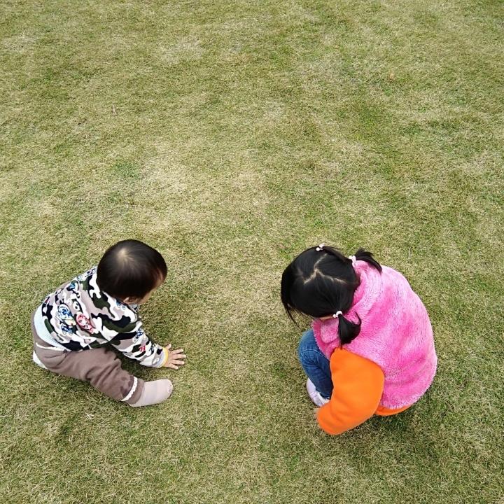 花为君开1314