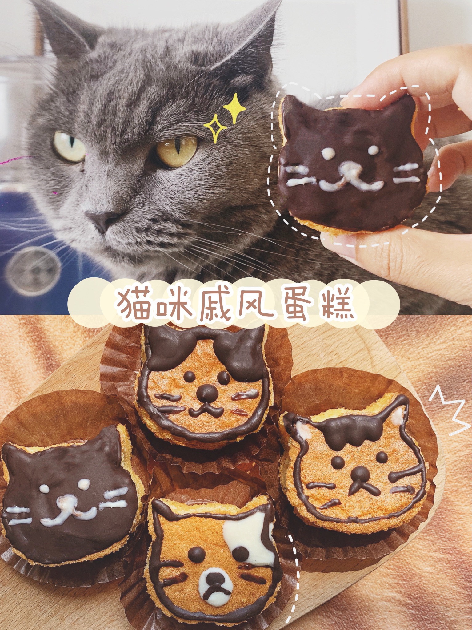 猫咪戚风蛋糕🐈可可爱爱 巧克力味的！