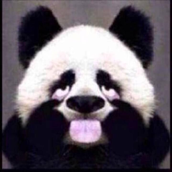 饮冰十年难凉心头热血