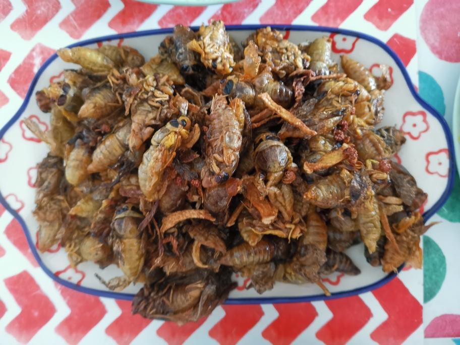 夏天的味道•炸知了