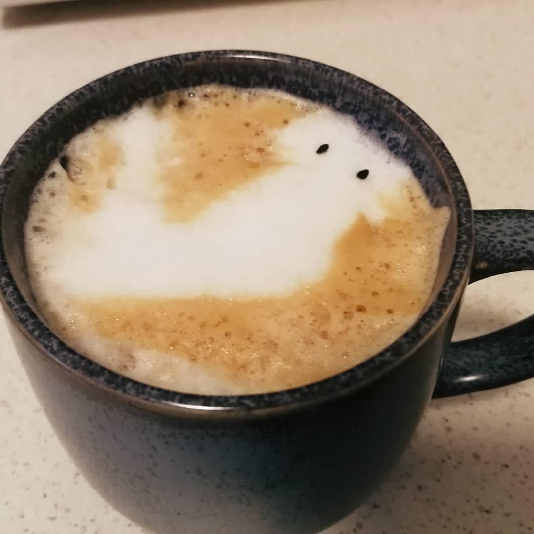 陈小厨alala做的咖啡拉花打基础大白心