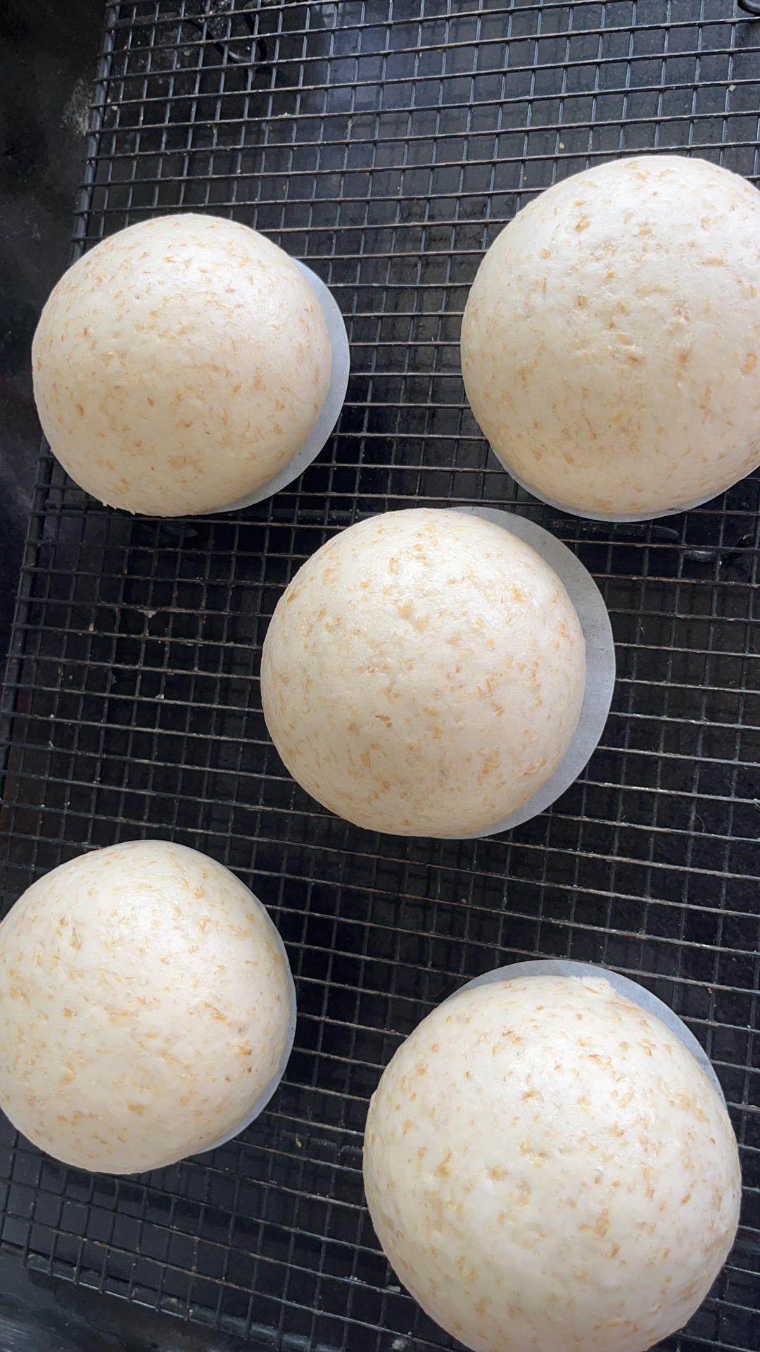 一次发酵，比面包还好吃的全麦馒头