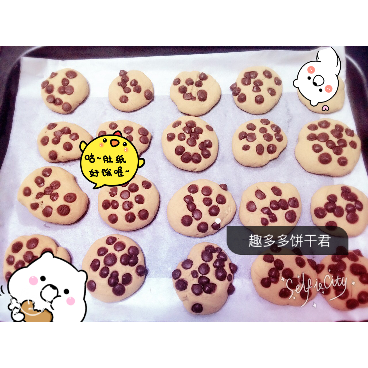 趣多多巧克力豆饼干