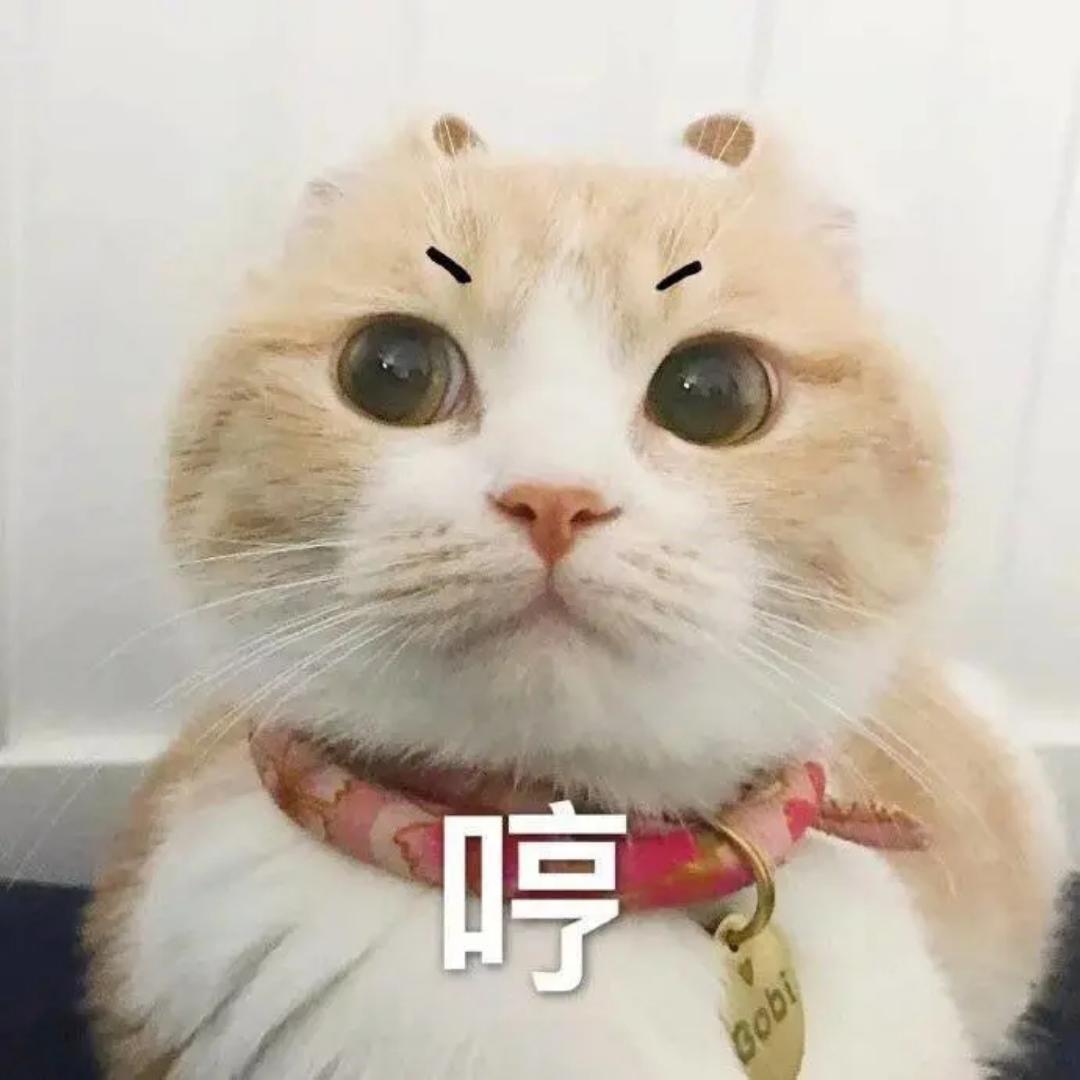 彼岸-子衿