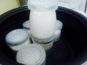 自制酸奶（泡沫箱/电饭锅/烤箱/面包机版）的做法 步骤11