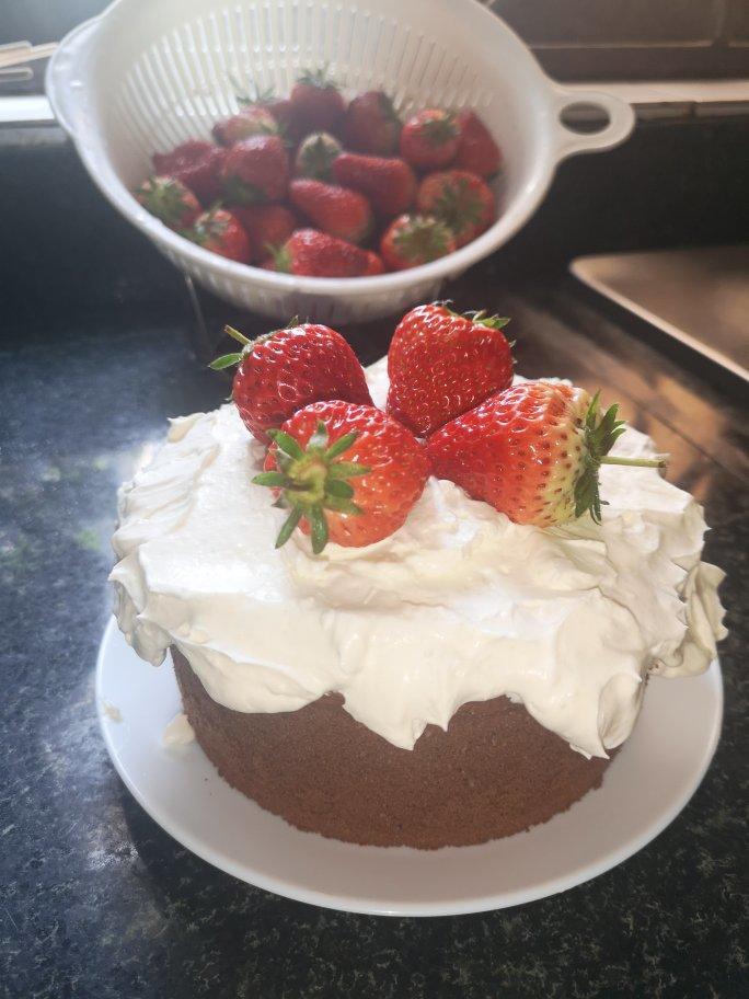 巧克力戚风蛋糕