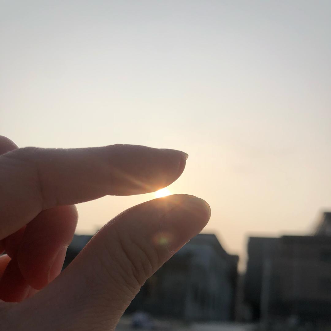 捣蛋美食的调皮日记