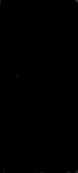 戚风小纸杯蛋糕