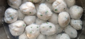 素食联盟的封面