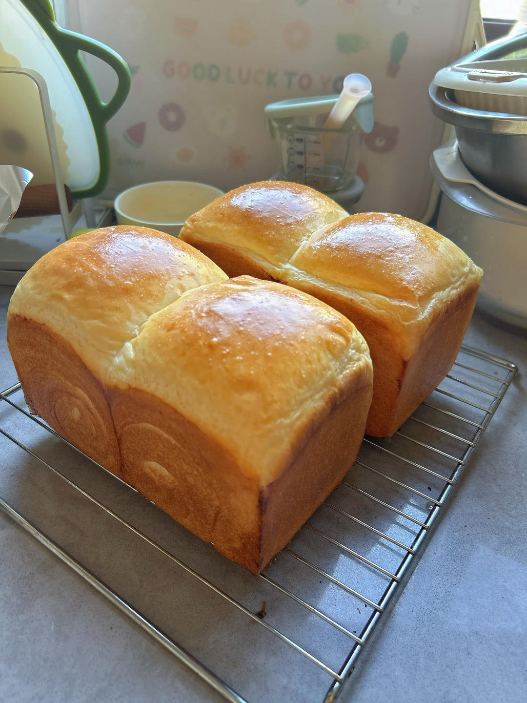 牧场鲜奶吐司🍞｜一次发酵｜吴克己老师经典吐司