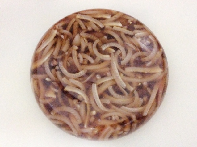 肉皮冻