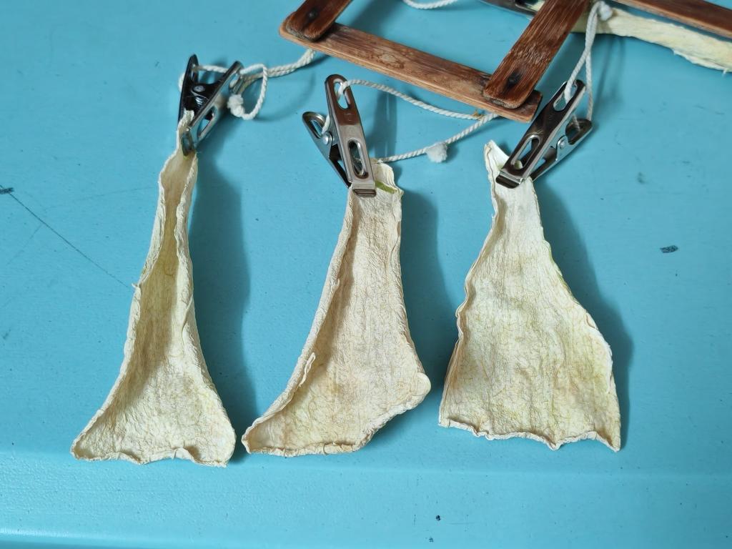 变废为宝23～晒西瓜皮干/瓜皮茶