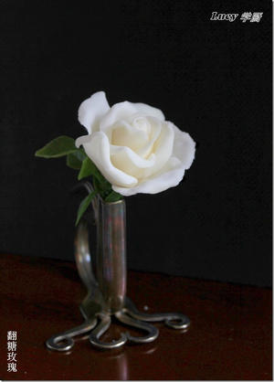 第一朵翻糖玫瑰–自制棉花糖翻糖膏—Marshmallow Fondant Rose的做法 步骤14