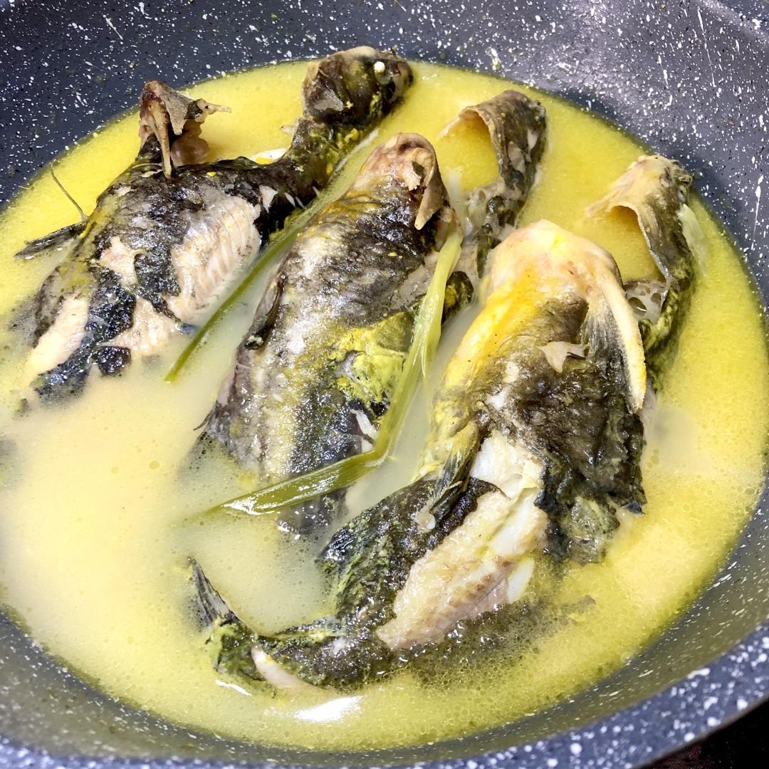 宁静涛涛做的香浓昂刺鱼汤