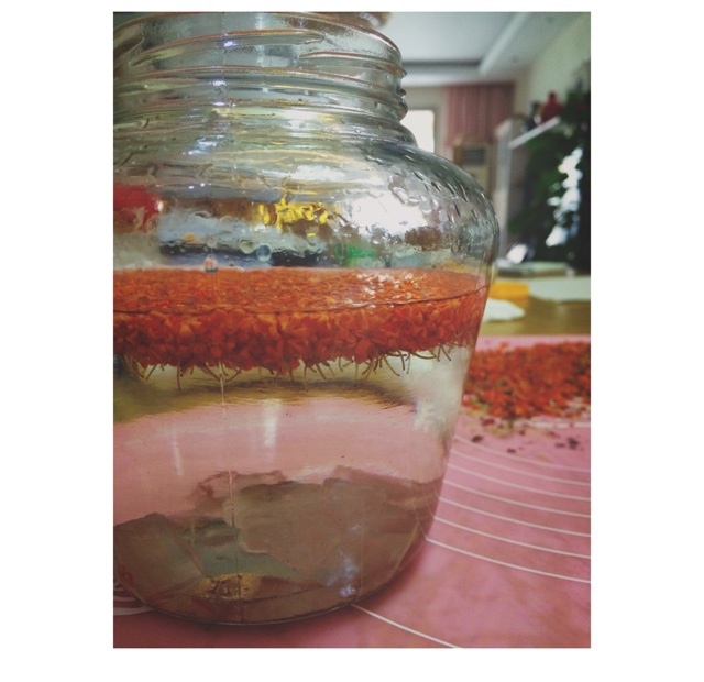 桂花酒