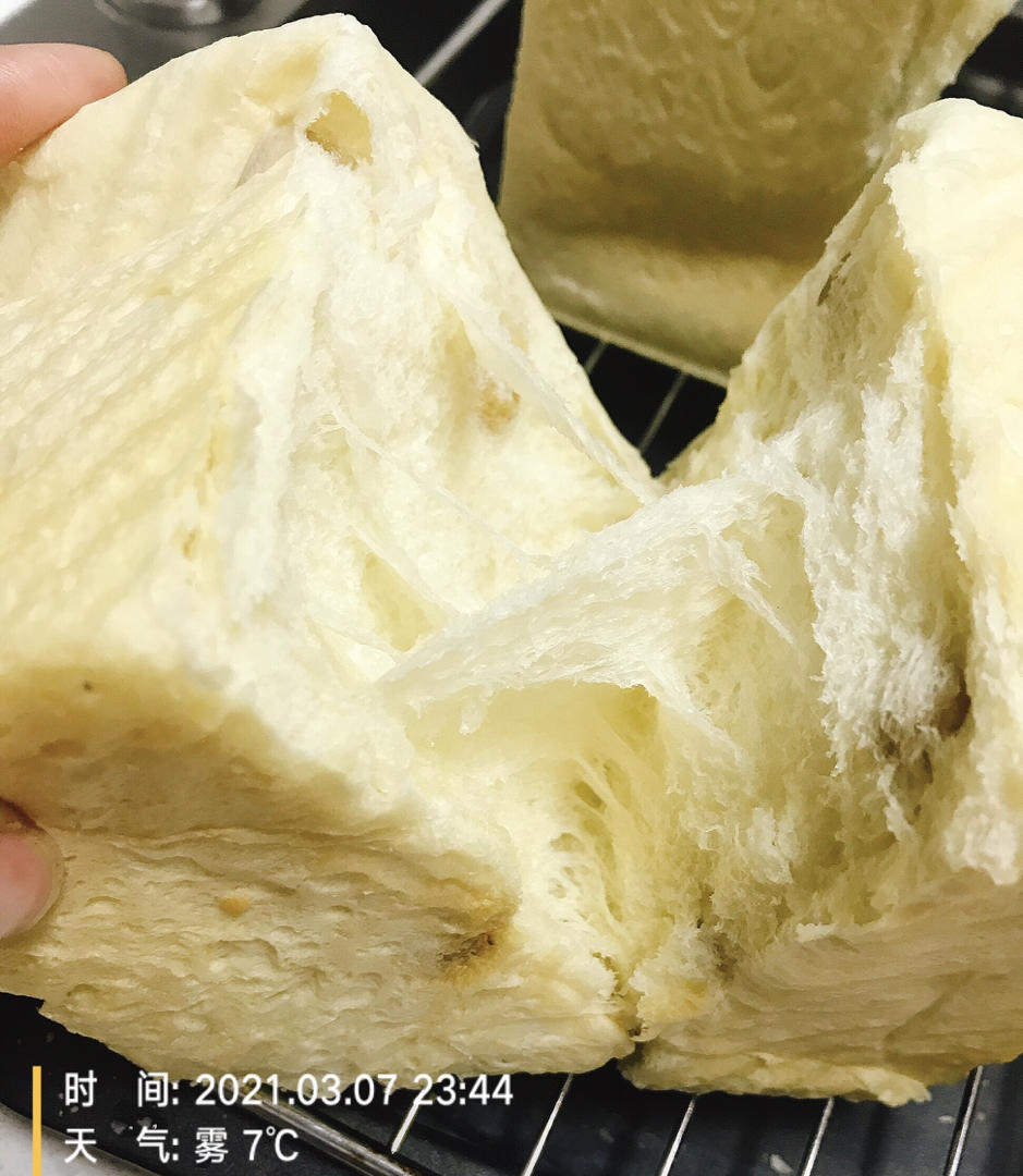 100%中种冷藏发酵