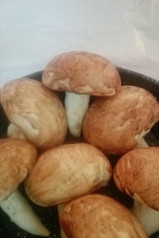 造型馒头（蘑菇）