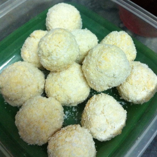 蛋白椰丝球