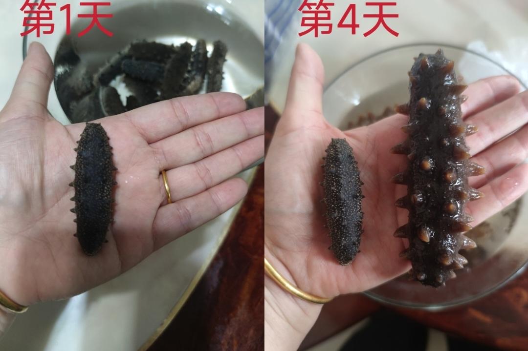 堂妈教你发海参