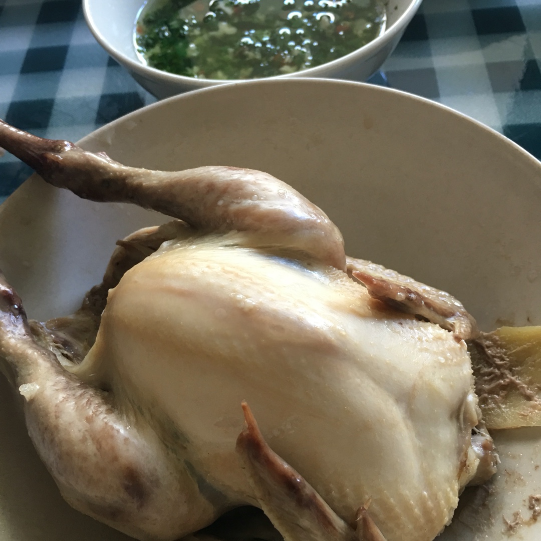 清蒸鸡