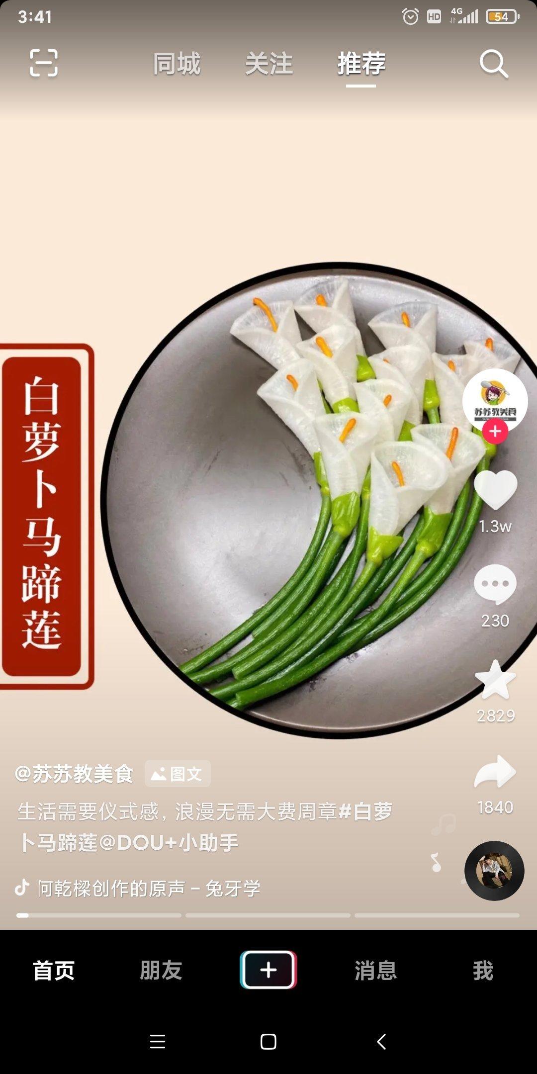 白萝卜马蹄莲