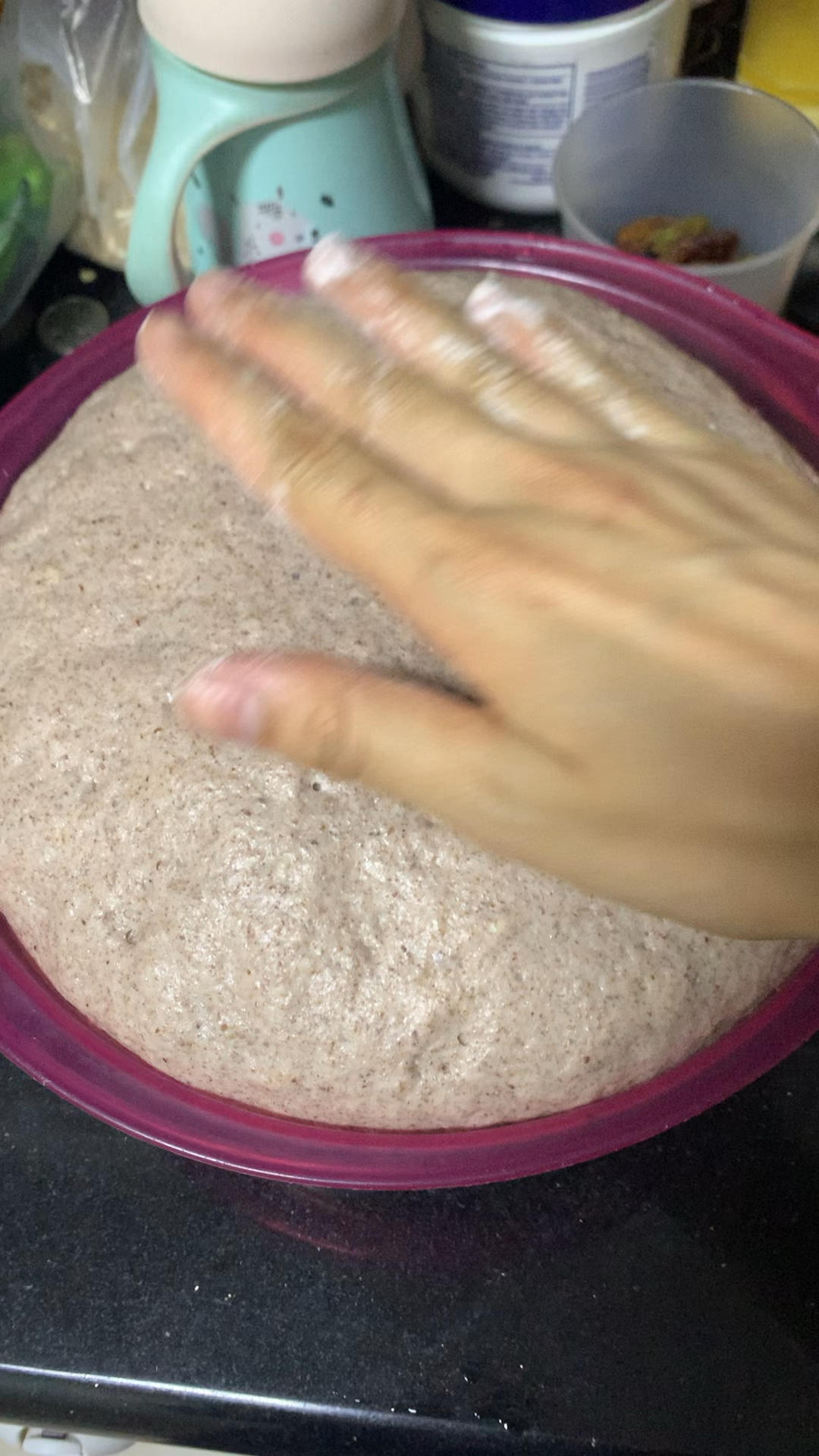 波兰种全麦面包🍞