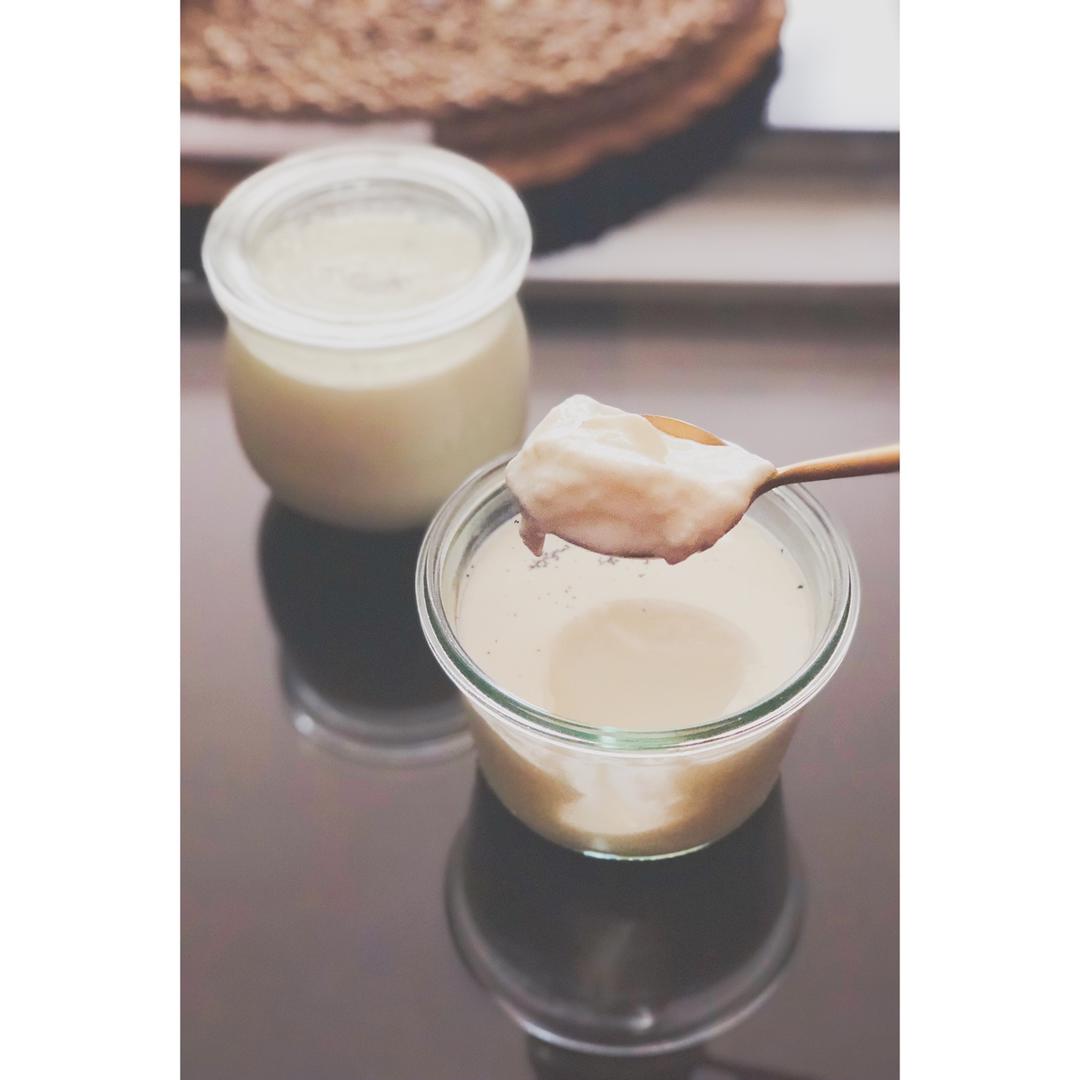 香草酸奶【北鼎烤箱食谱】
