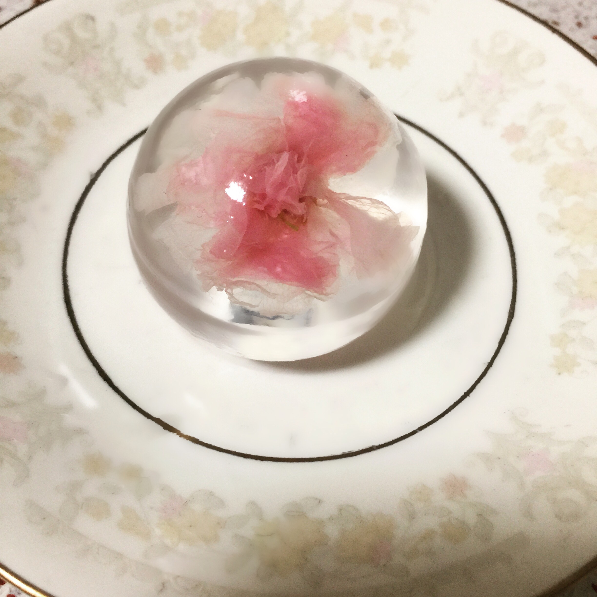 樱花水信玄饼