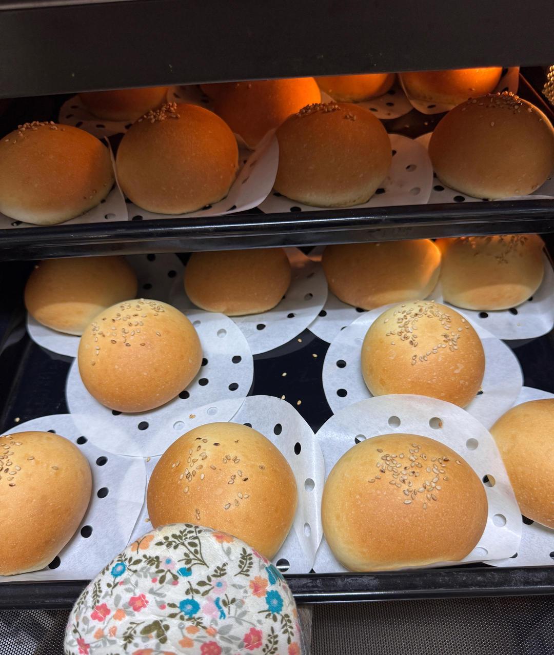 一次性发酵中筋面粉汉堡胚