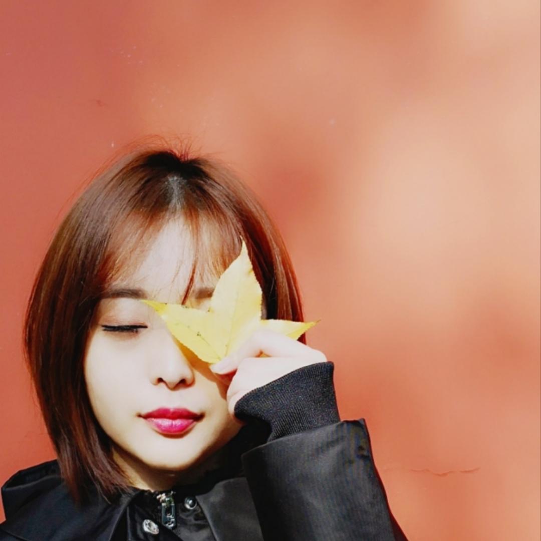 会跳舞的木鱼花