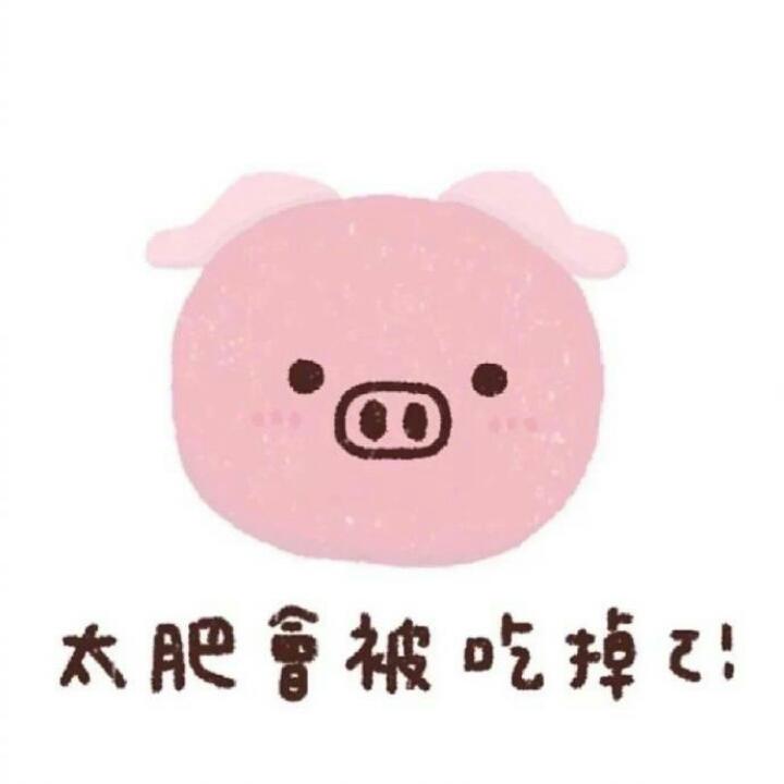 pp菲