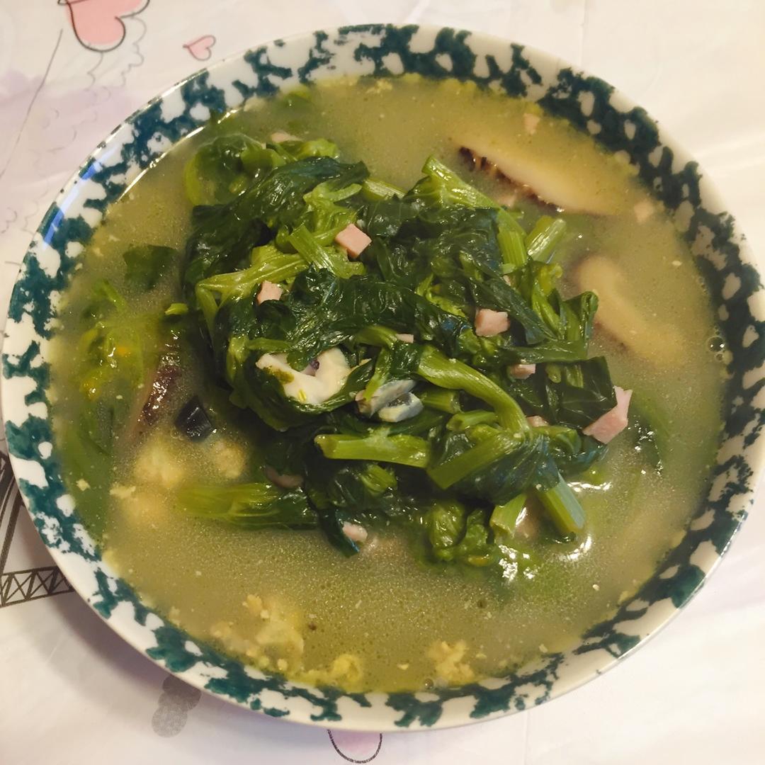 上汤豆苗