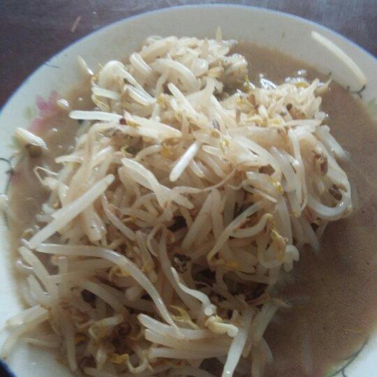 素炒豆芽（东北版）