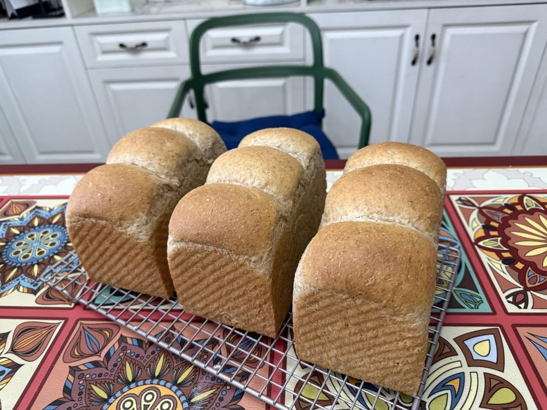 椰子油全麦（50%全麦）吐司