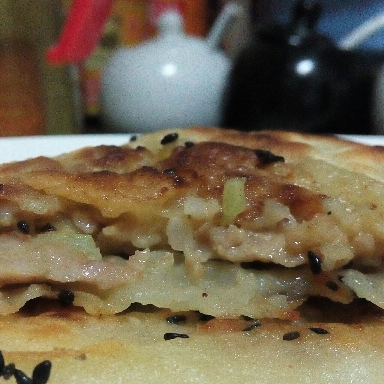 汤氏猪肉大葱肉饼