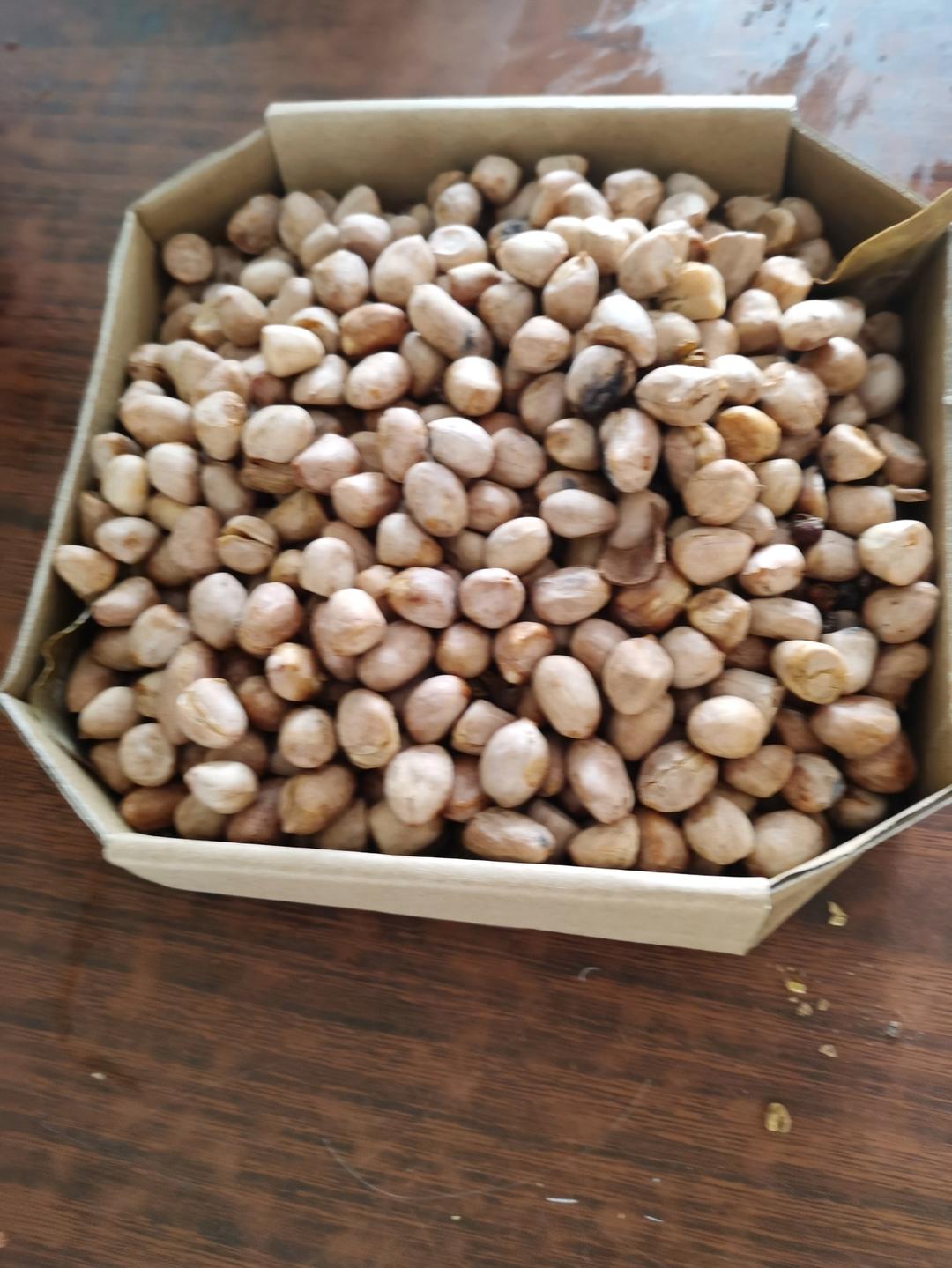 五香花生米  老醋花生  凉菜  酒鬼花生  拌花生