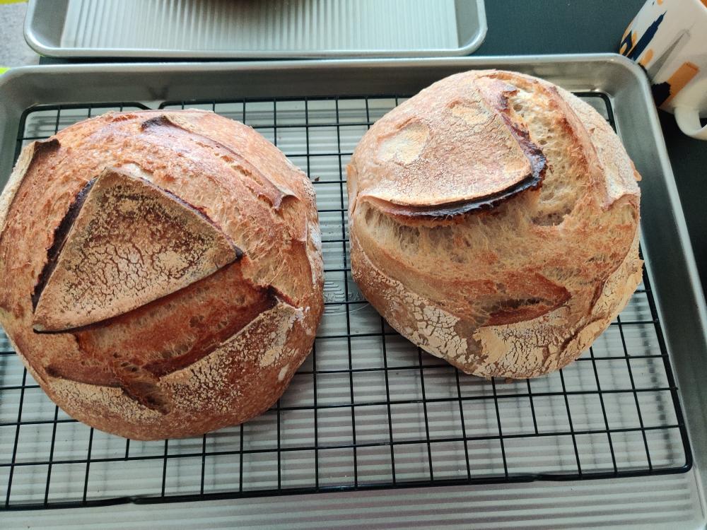 sourdough bread with amber ale beer