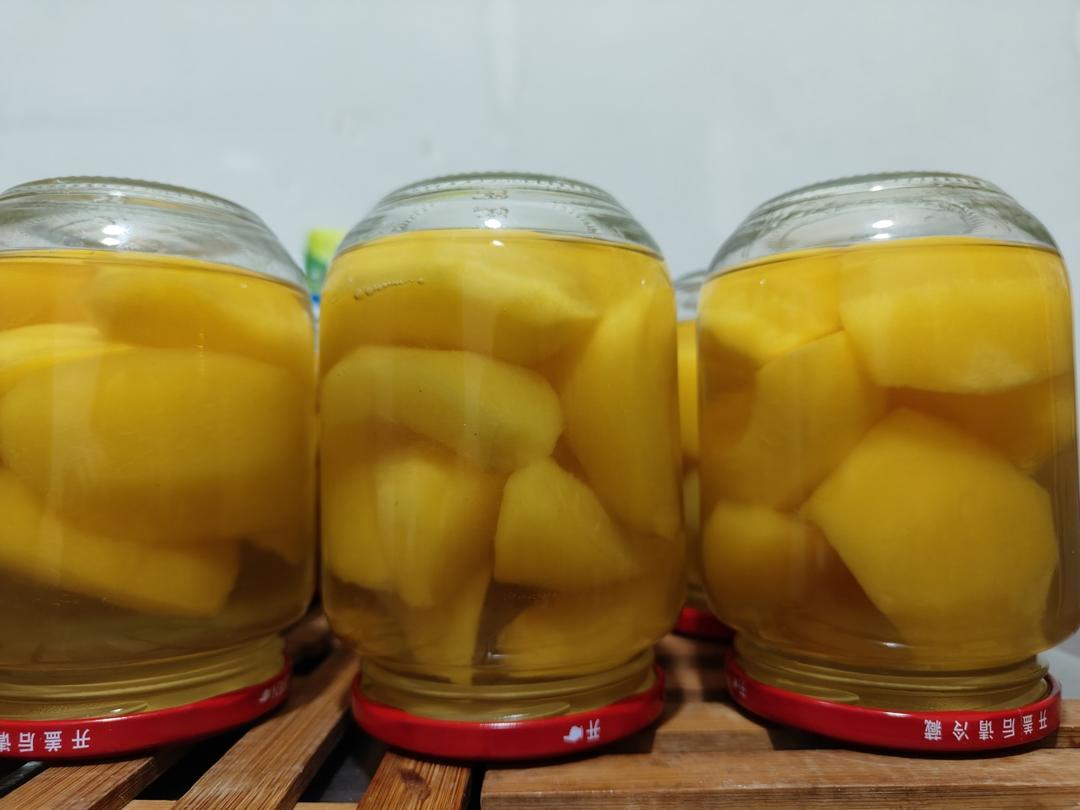 放半年都不会坏的黄桃罐头