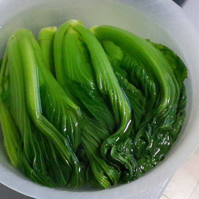 【醴陵山珍—黄菜图片】小大人-2_下厨房