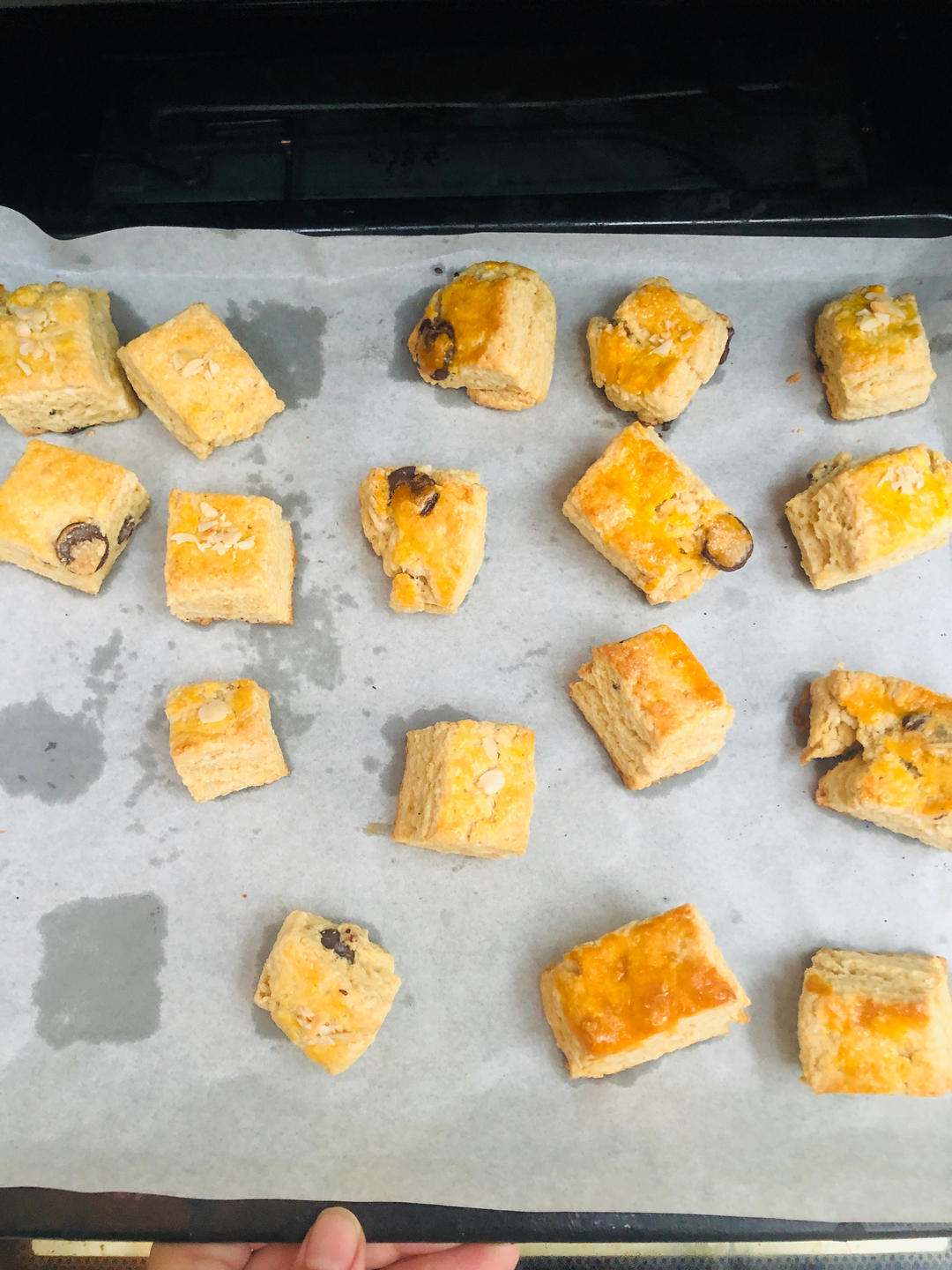 完美裂纹～百分百成功的超好吃奶香司康（禁止搬运）